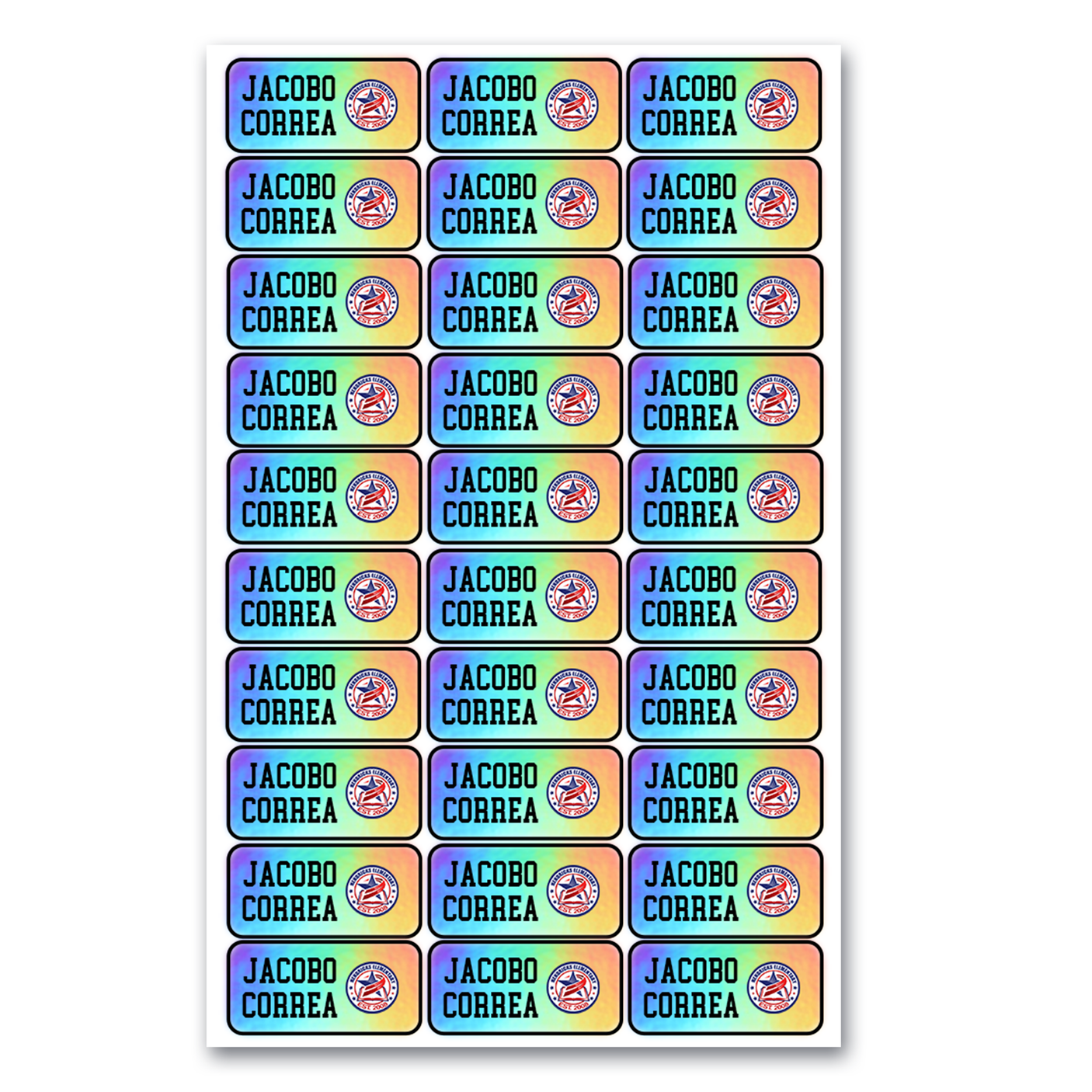 Custom Iridescent School Labels