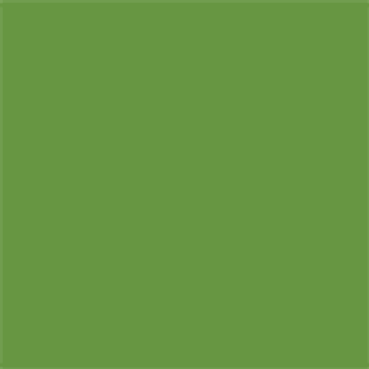 Stahls' CAD-CUT® - Ultraweed™ HTV - Apple Green