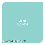ThermoFlex® Plus - 20" x 25 Yard (75 Feet) - Roll