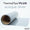 ThermoFlex® Plus Metallics - 15" x 1 Yard - Roll