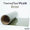 ThermoFlex® Plus Metallics - 12" x 5' Feet - 10 Rolls