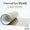 ThermoFlex® Plus Metallics - 12" x 5' Feet - 5 Rolls